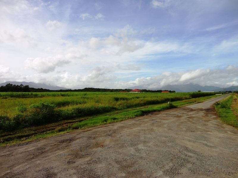 Lot 139 Hill Road, Edmonton QLD 4869