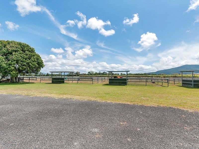 57 Kenny Road, Aloomba QLD 4871