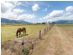57 Kenny Road, Aloomba QLD 4871
