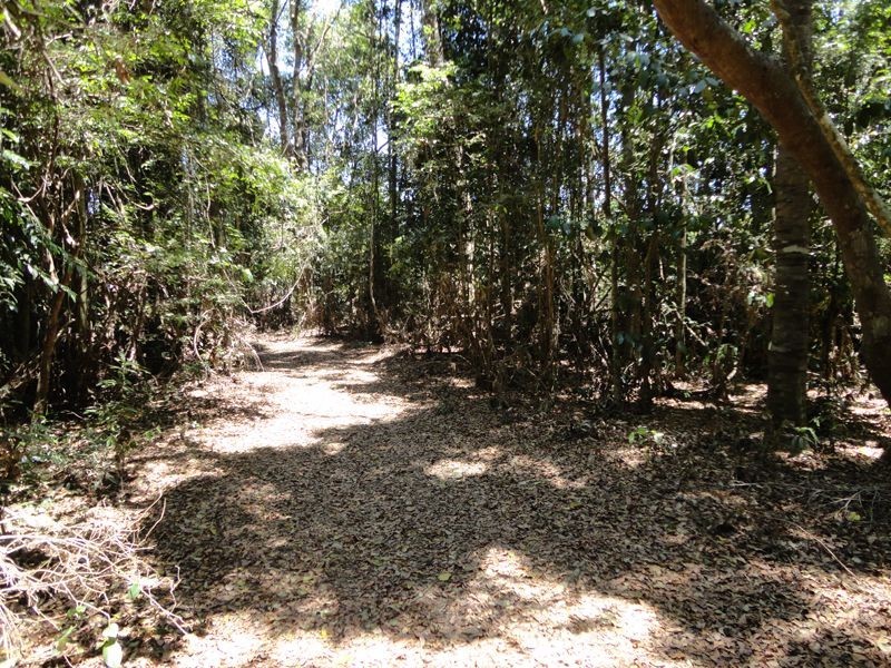 685 Koah Road, Koah QLD 4881