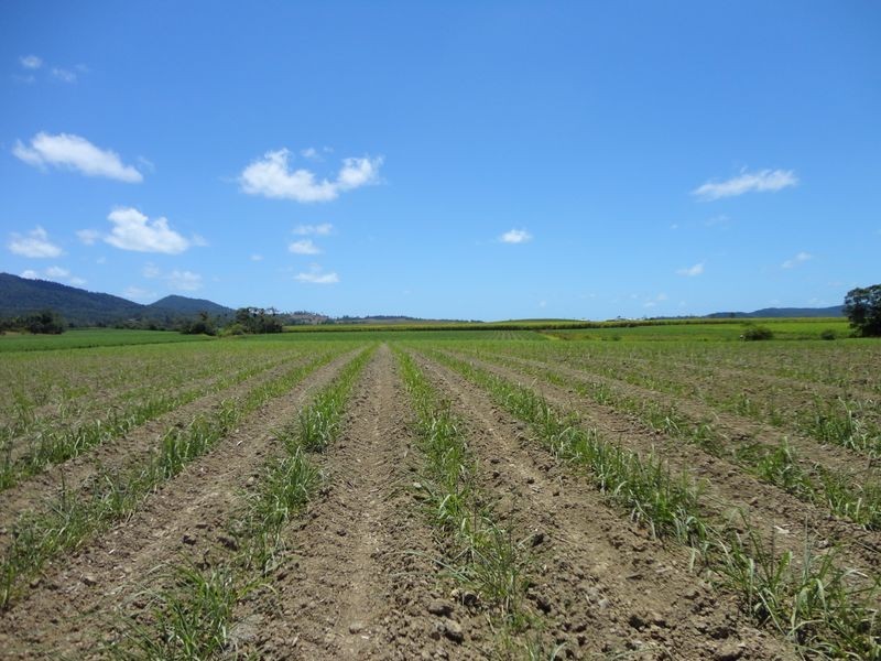 Lot 2-3 & Sundown Road, Innisfail QLD 4860