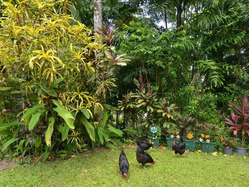 7 Alpha Close, Bayview Heights QLD 4868