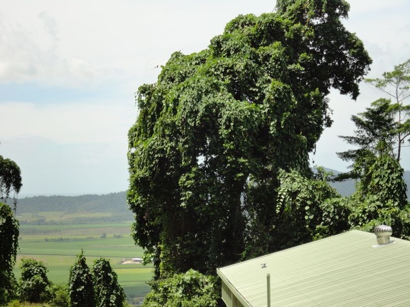 93 Christian Street, Babinda QLD 4861