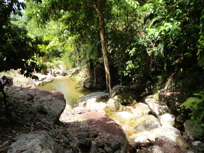 93 Christian Street, Babinda QLD 4861