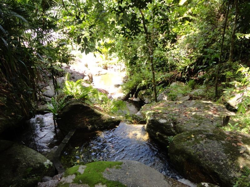 93 Christian Street, Babinda QLD 4861