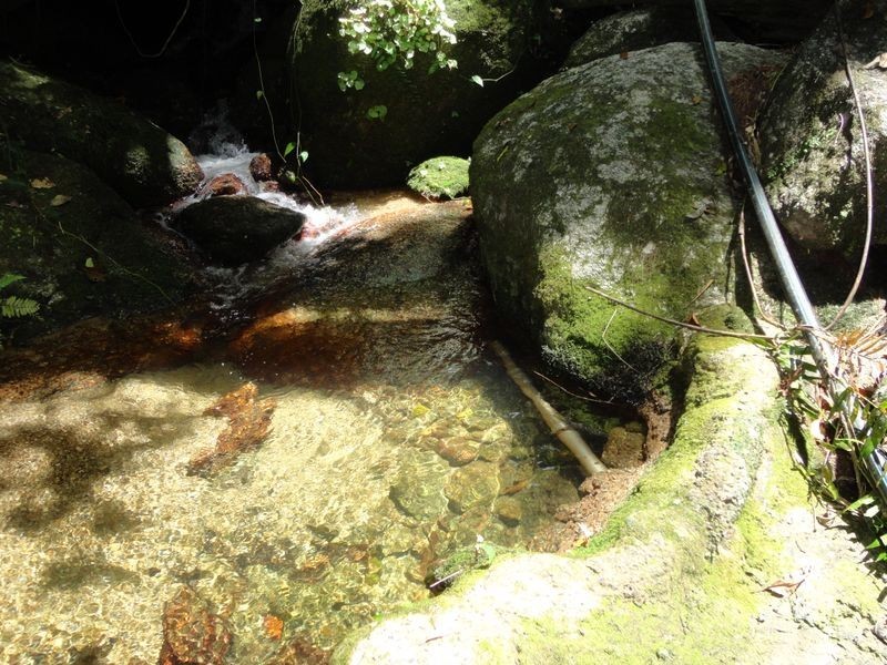 93 Christian Street, Babinda QLD 4861