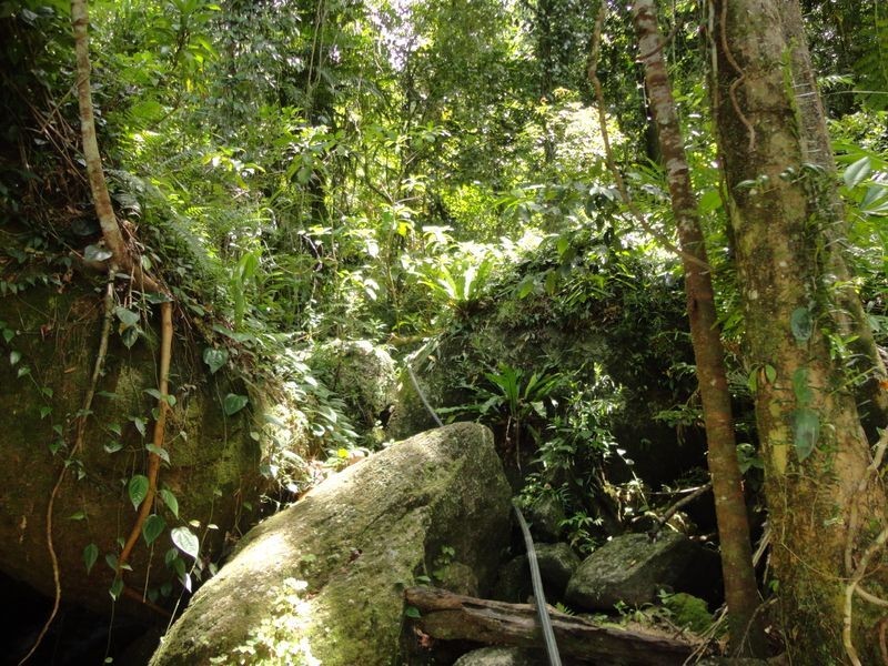 93 Christian Street, Babinda QLD 4861