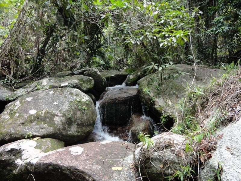 93 Christian Street, Babinda QLD 4861