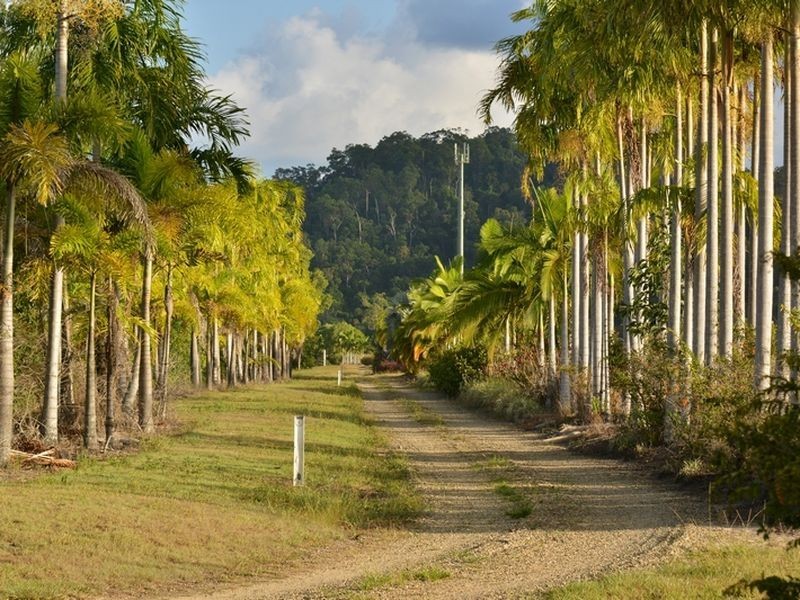 1595 Bramston Beach Road, Bramston Beach QLD 4871