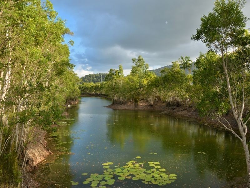 1595 Bramston Beach Road, Bramston Beach QLD 4871