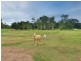 60 Wright Road, Koah QLD 4881