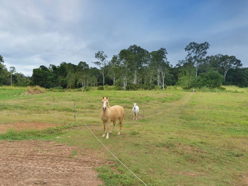 60 Wright Road, Koah QLD 4881