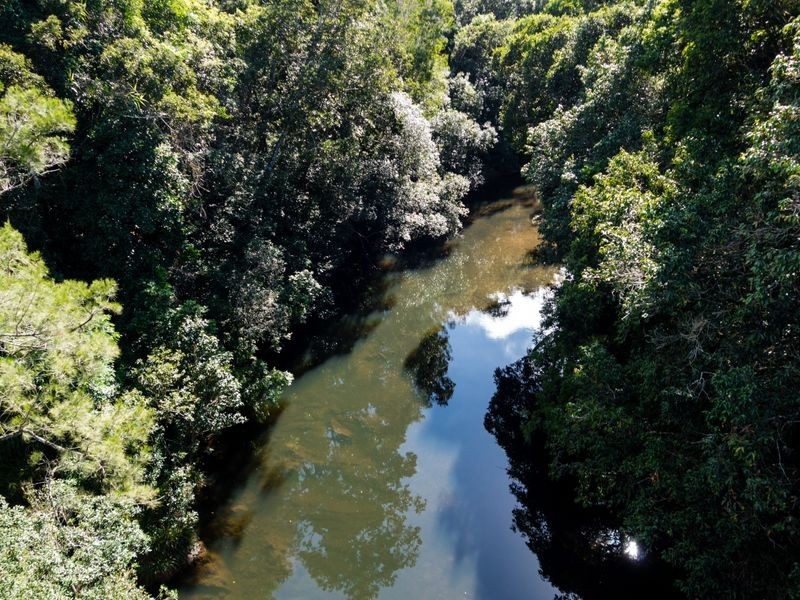 60 Wright Road, Koah QLD 4881