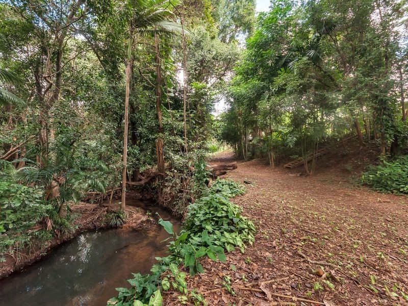 251 Warner Road, Gordonvale QLD 4865