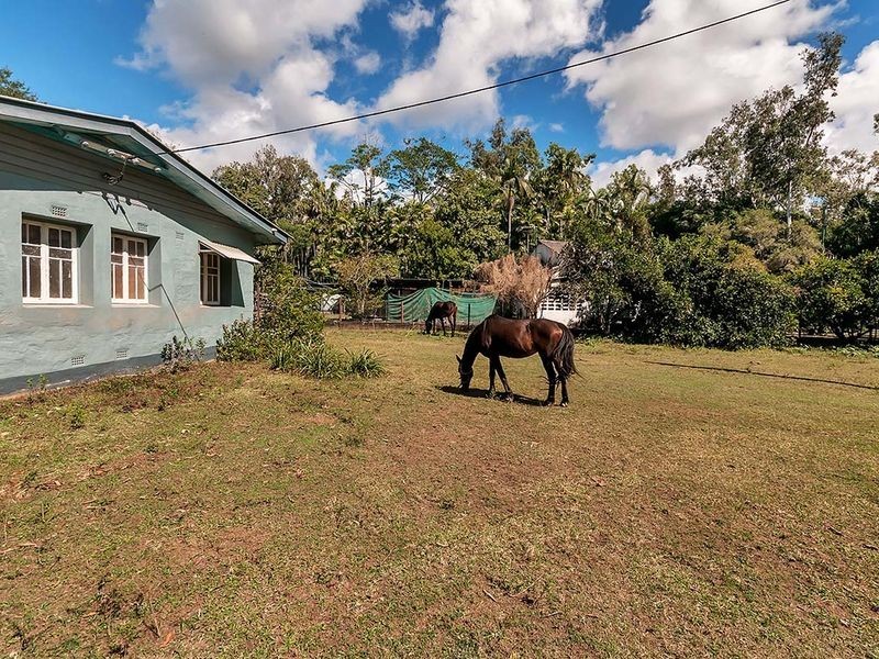 103 Mount Peter Road, Edmonton QLD 4869