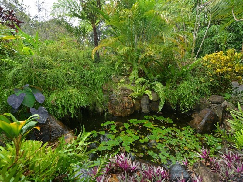 40 King Street, Gordonvale QLD 4865