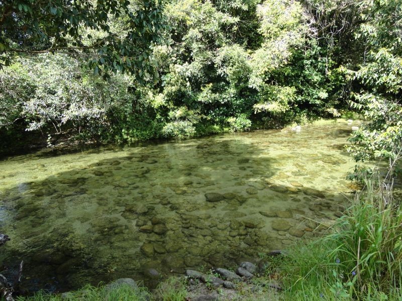 Bruce Highway, Bellenden Ker QLD 4871