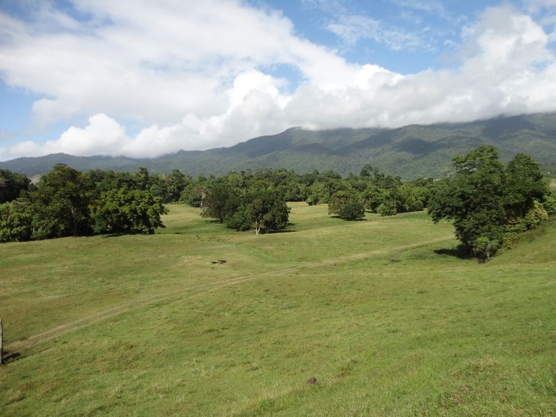 Bruce Highway, Bellenden Ker QLD 4871
