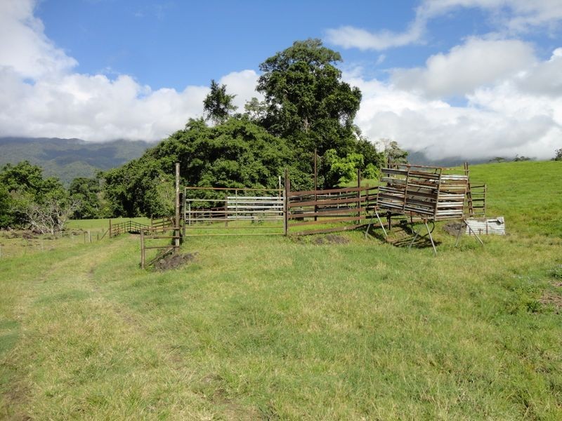 Bruce Highway, Bellenden Ker QLD 4871