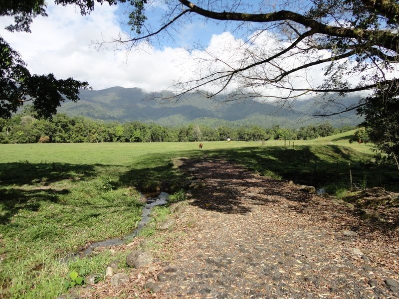 Bruce Highway, Bellenden Ker QLD 4871