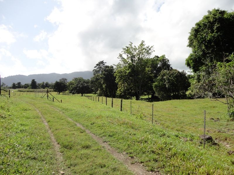 Bruce Highway, Bellenden Ker QLD 4871