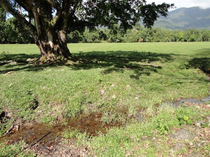 Bruce Highway, Bellenden Ker QLD 4871