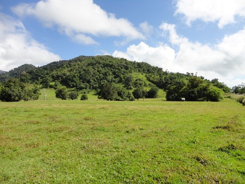 Bruce Highway, Bellenden Ker QLD 4871
