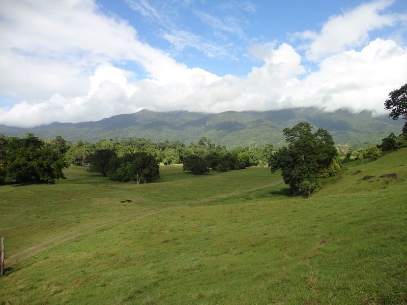 Bruce Highway, Bellenden Ker QLD 4871