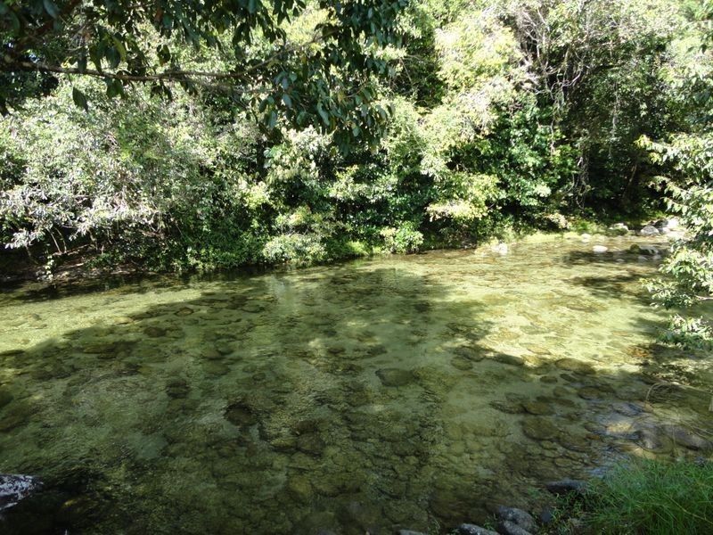 Bruce Highway, Bellenden Ker QLD 4871