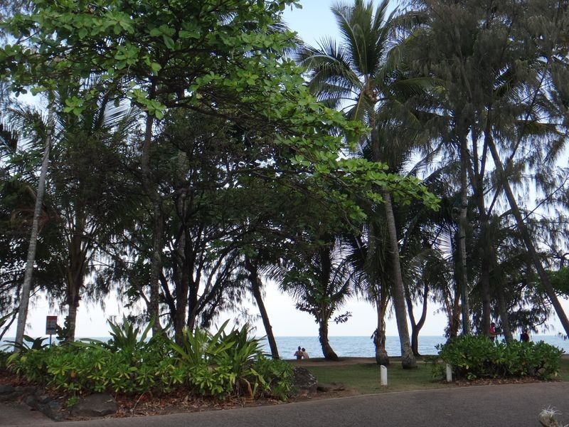 8/26 Olivia Street, Palm Cove QLD 4879