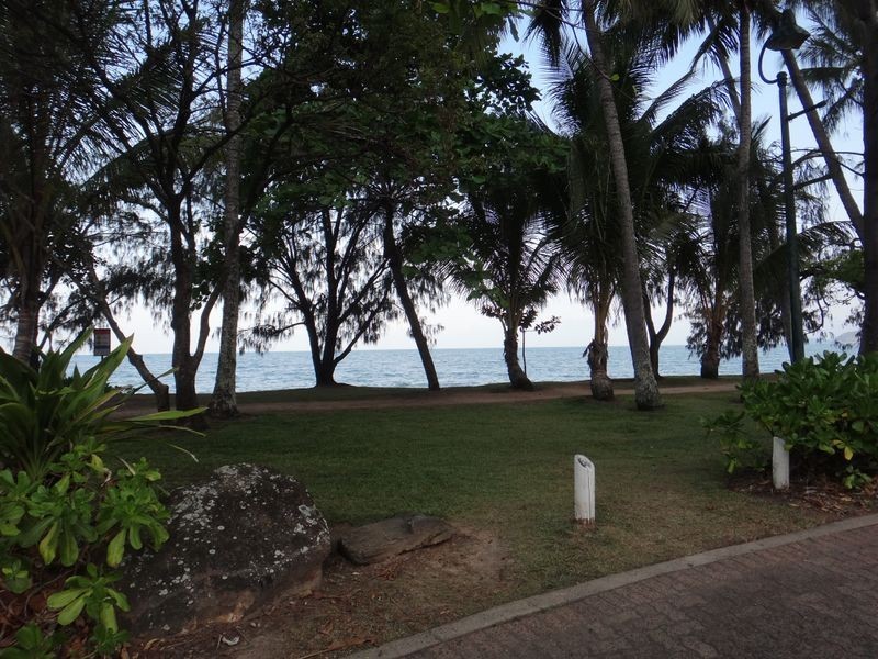 8/26 Olivia Street, Palm Cove QLD 4879