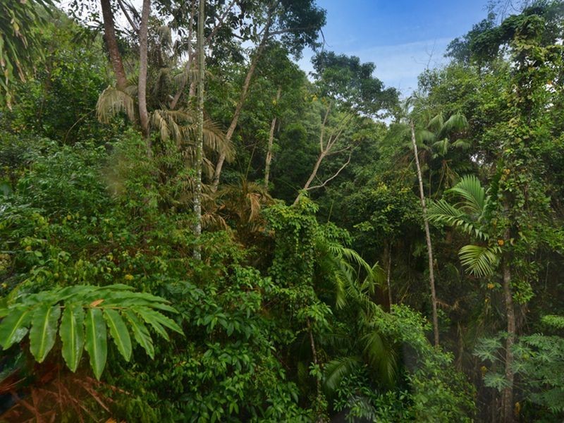 6 Barron View Drive, Freshwater QLD 4870