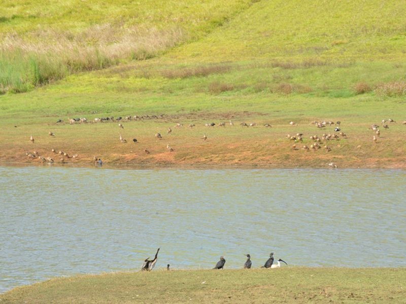 18 Oleander Drive, Yungaburra QLD 4884