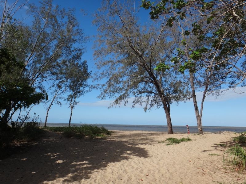 LOT 20 Reed Road, Trinity Park QLD 4879