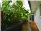 9/87 Macilwraith St, Manoora QLD 4870
