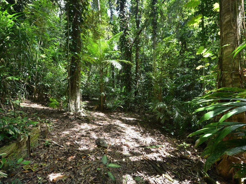 33 Butler Drive, Kuranda QLD 4881