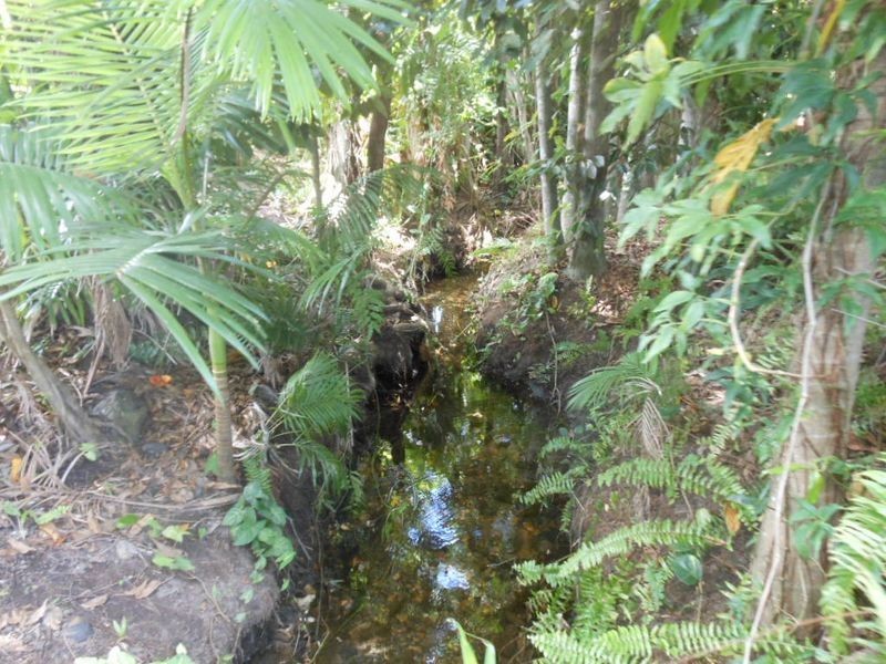 32/50 Woodward Street, Edge Hill QLD 4870