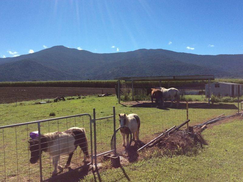 Lot 1 Vohland Road, Aloomba QLD 4871