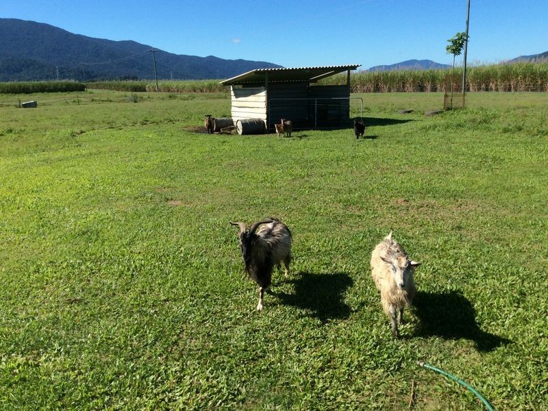 Lot 1 Vohland Road, Aloomba QLD 4871