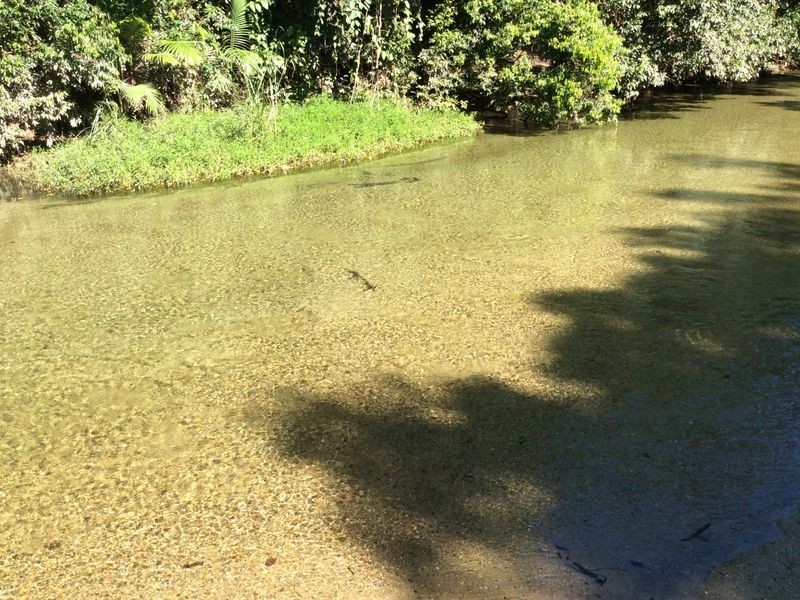 Lot 1 Vohland Road, Aloomba QLD 4871