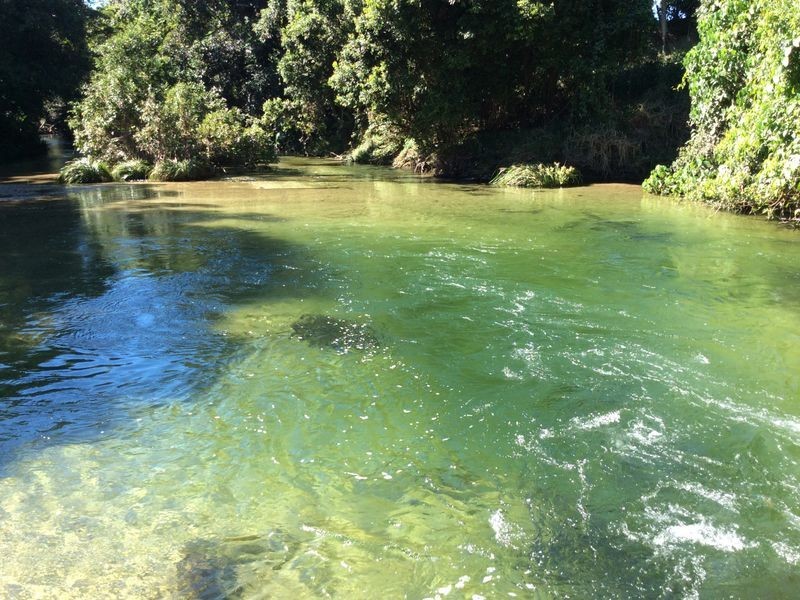 Lot 1 Vohland Road, Aloomba QLD 4871