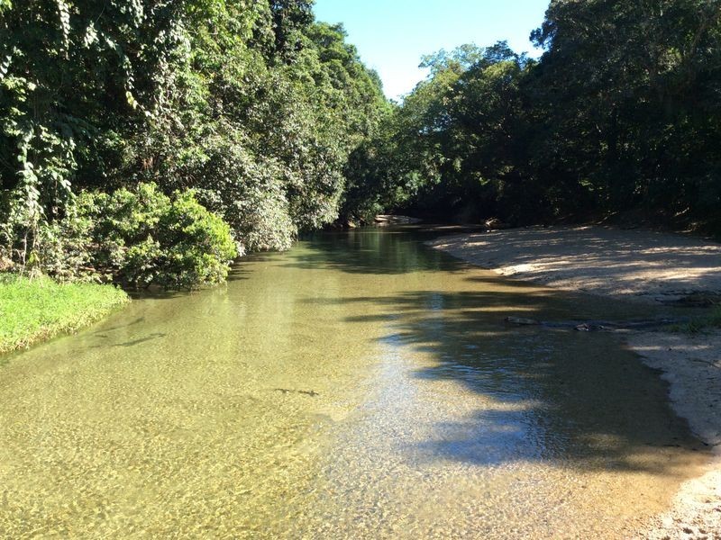 Lot 1 Vohland Road, Aloomba QLD 4871