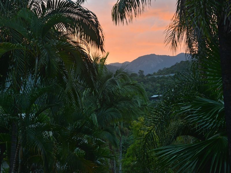 38 Latreille Terrace, Brinsmead QLD 4870