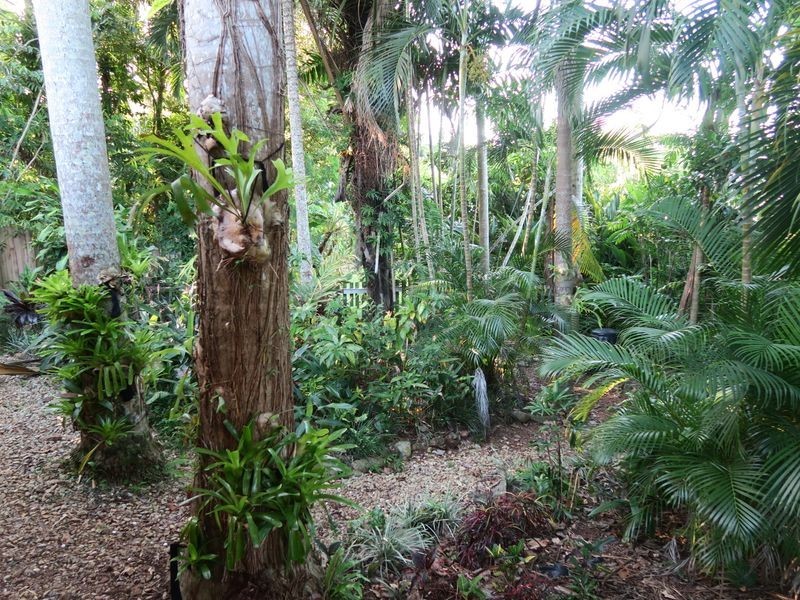 112 Petersen Street, Freshwater QLD 4870