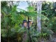 41 Marshall Street, Machans Beach QLD 4878