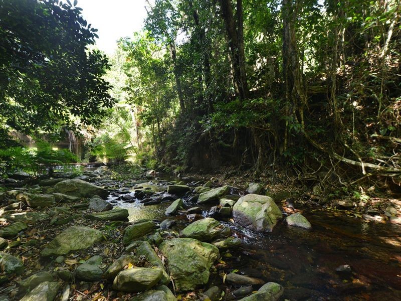 29-31 Cascades Drive, Redlynch QLD 4870