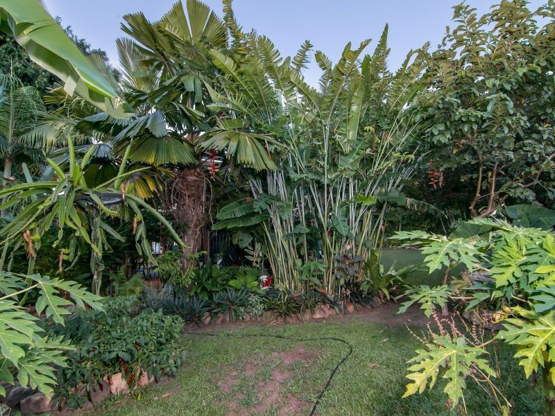 12 Down Street, Freshwater QLD 4870
