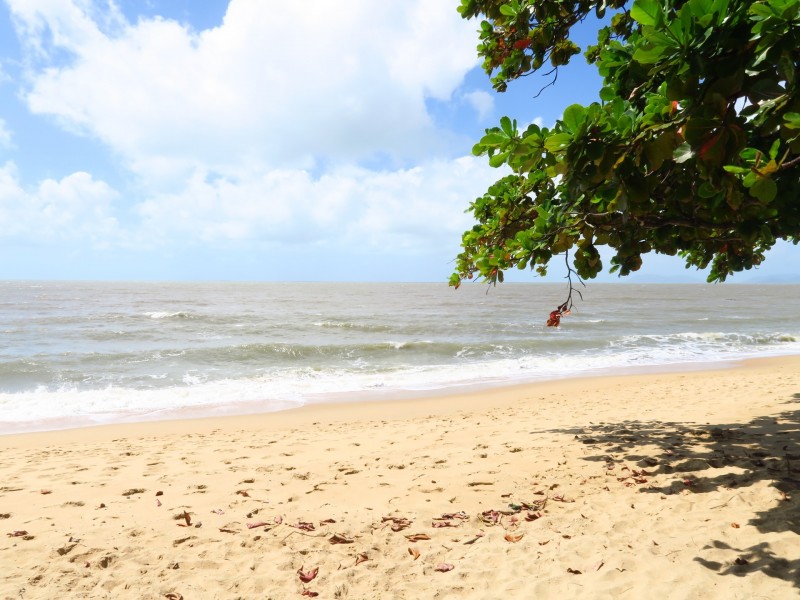 1/8 Kavieng Street, Trinity Beach QLD 4879