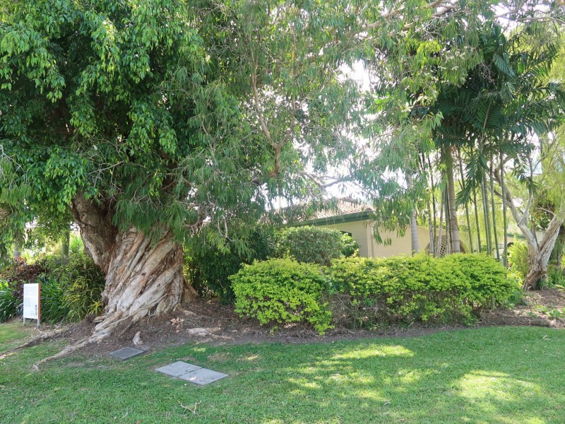 6/126 Greenslopes Street, Edge Hill QLD 4870