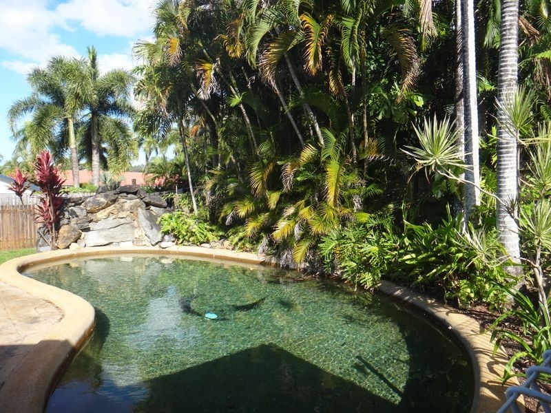 23 Cyperus Street, Redlynch QLD 4870